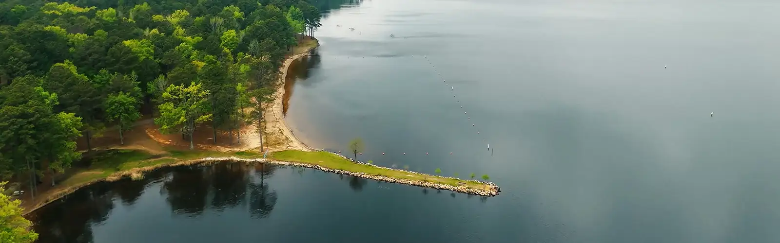 Image of a body of water with a forest lined shore and a small body of land extending towards the water.