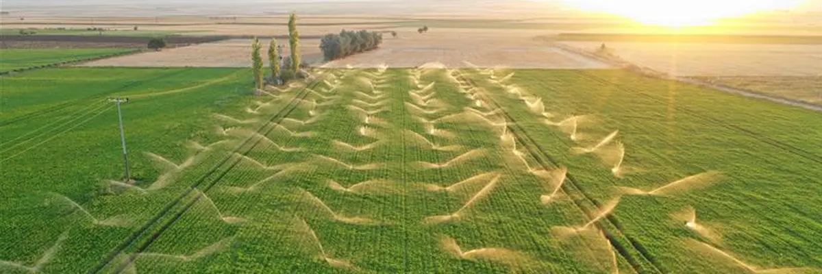 Vista aérea de un campo agrícola verde que se riega al atardecer.
