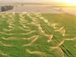 Vista aérea de un gran campo agrícola que se está regando al atardecer.