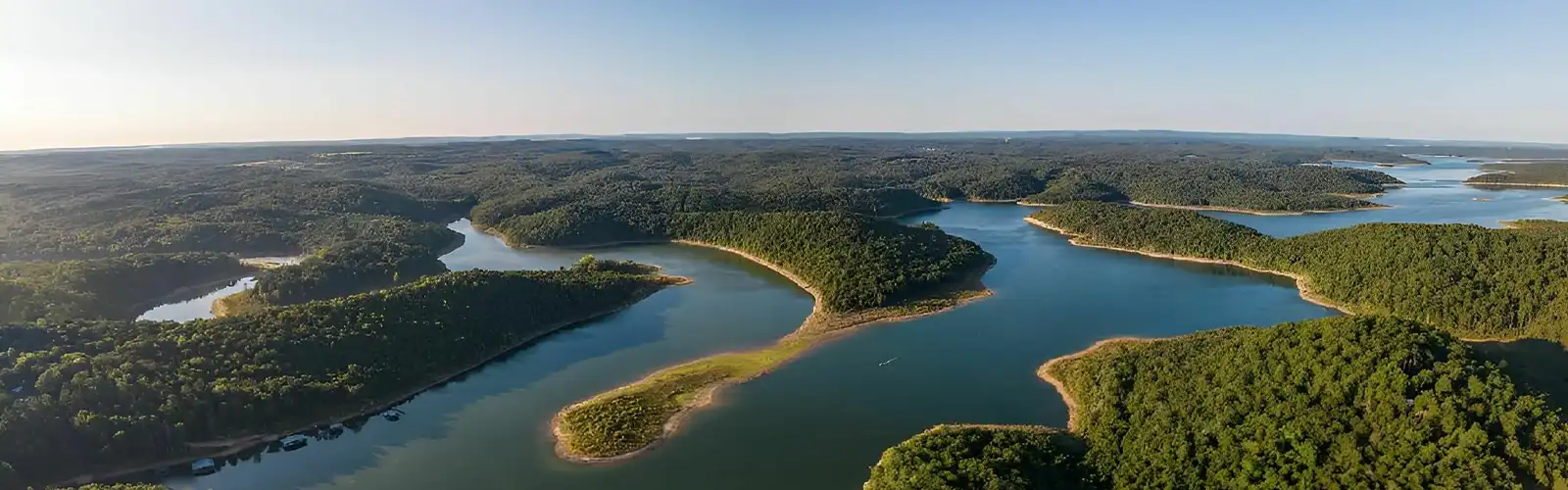 Forest with water inlets.