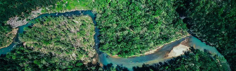 A aerial image view of a winding river through a dense green forest.